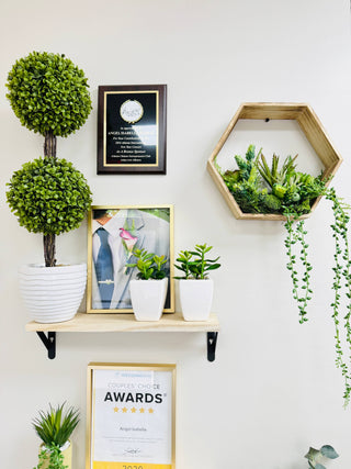 10.5-Large bagged fresh green moss-for Terrariums, Gardens,