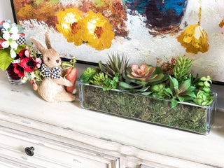 10.5-Large bagged fresh green moss-for Terrariums, Gardens,