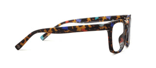 Impromptu (Blue Light): Chai Tortoise / Reading / 2.50