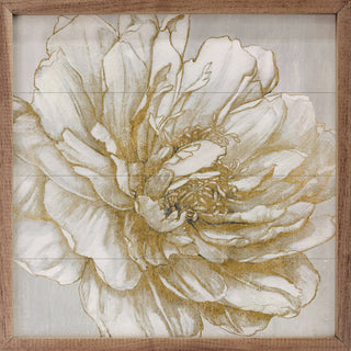 Bright Peony By Carol Robinson: 12 x 12 x 1.5