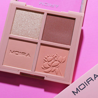 Ready Face Palette 004- Spot On