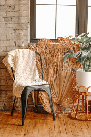 3ft. JUMBO Sun-Dried Wild Untouched Palm Leaf Wispy Frond