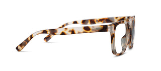 Impromptu (Blue Light): Chai Tortoise / Reading / 2.50