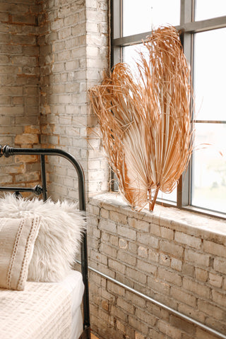 3ft. JUMBO Sun-Dried Wild Untouched Palm Leaf Wispy Frond