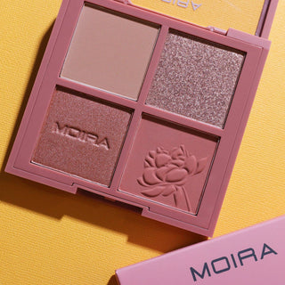 Ready Face Palette 002 - Take Notice