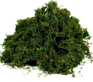 10.5-Large bagged fresh green moss-for Terrariums, Gardens,